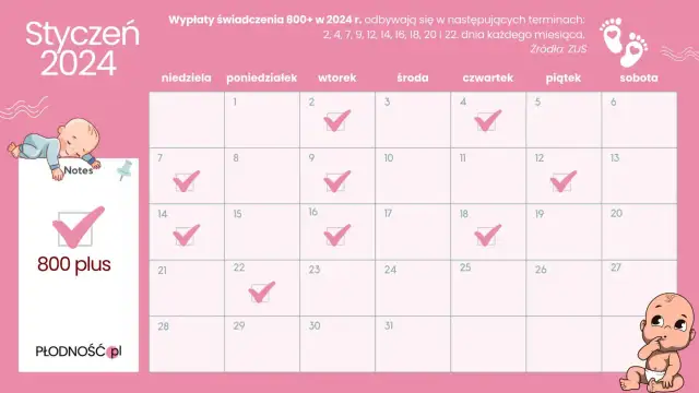 Od kiedy 800 plus? Data, wnioski i wypłaty ZUS.