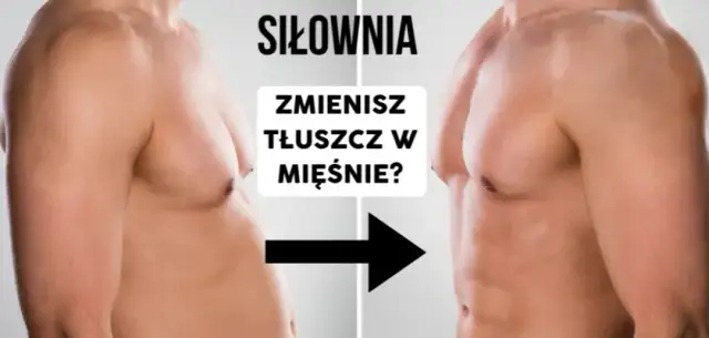Cardio a mięśnie: Mit czy fakt? Spalaj tłuszcz, nie masę!