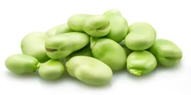 Czy bób uczula? Sprawdź, czy może być niebezpieczny dla zdrowia