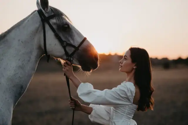 Co oznacza sen o koniach? Odkryj głębokie znaczenia i symbole