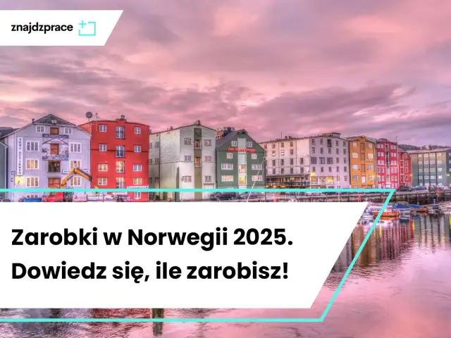 Norwegia: Zarobki weterynarza czy warto emigrować?