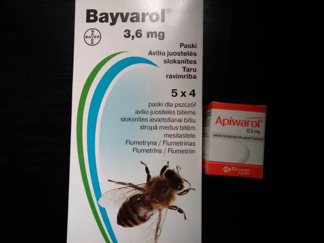 Gdzie kupić leki na warrozę? Legalnie i bezpiecznie dla pszczół!