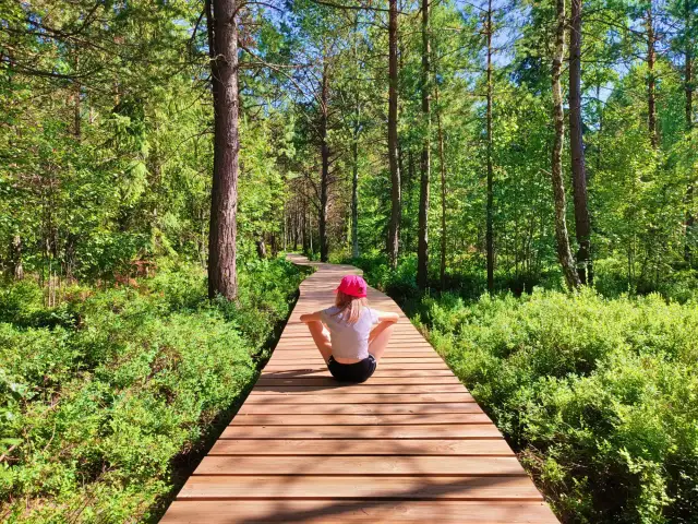Gdzie w Bieszczady z dzieckiem? Odkryj najlepsze atrakcje rodzinne