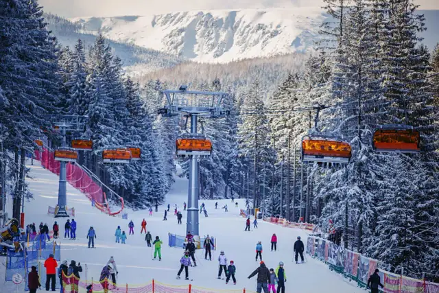 Karpacz: stok narciarski z kolejką linową i narciarzami wśród zaśnieżonych drzew.