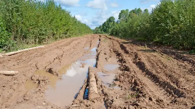 Sen o błocie co oznacza? Odkryj jego ukryte znaczenie i symbolikę