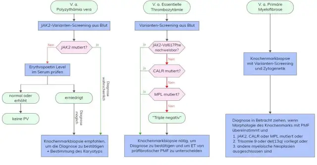 Polycythaemia vera Diagnose: JAK2, WHO-Kriterien & mehr erklärt