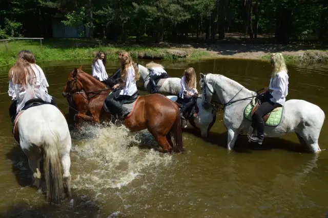 Stadnina koni Zabajka - poznaj wyjątkowe usługi jeździeckie i atrakcje
