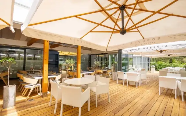 Jastrzębia Góra: Gdzie zjeść smacznie? Sprawdzone lokale!