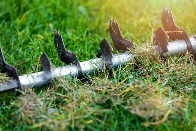 Metalowe ostrza wertykulatora zagłębiają się w trawnik, przygotowując go do wiosennego wzrostu. To idealny moment, kiedy wertykulować trawnik na wiosnę.