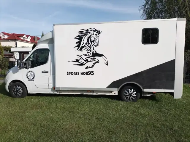 Czy będą dopłaty do wszystkich koni? Sprawdź, kto może je otrzymać