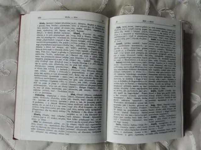 Słownik etymologiczny Brücknera: Klucz do polskiej historii języka