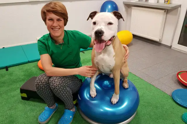 Ile zarabia fizjoterapeuta zwierząt? Zaskakujące fakty o wynagrodzeniach