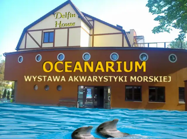 Łeba atrakcje oceanarium: co warto zobaczyć i dlaczego to miejsce zachwyca