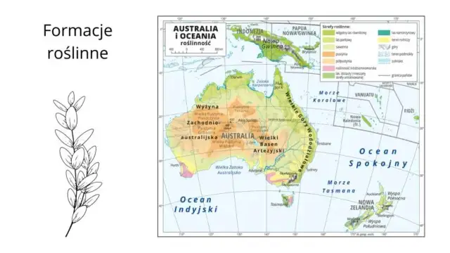 Gdzie leży Nowa Gwinea? Odkryj podział, klimat i atrakcje!