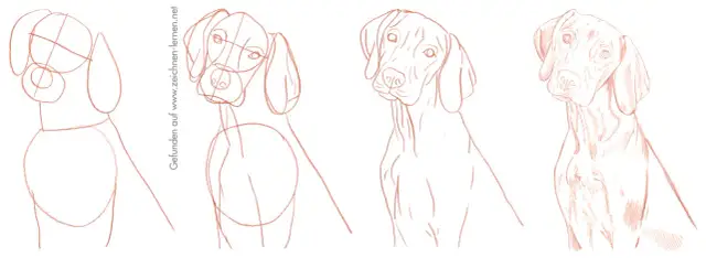 Hund malen einfach: Schritt-für-Schritt-Anleitung für Anfänger