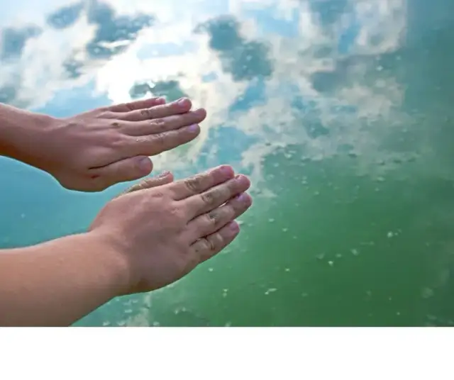 Jak wyglądają sinice w Bałtyku i jak ich unikać podczas kąpieli