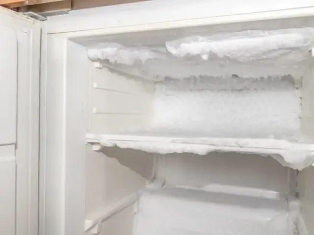 No Frost: Rozmrażanie to mit? Prawdziwa konserwacja lodówki