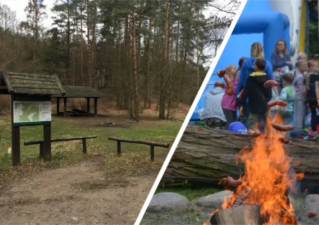 Ognisko w lesie: Czy można? Jak zrobić legalnie i bezpiecznie?