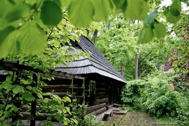 Skansen Pszczyna: Ceny, godziny, dojazd i co warto zobaczyć?