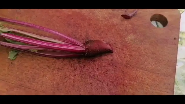 Botwinka: Kiedy sezon w Polsce? Wybierz idealny pęczek!