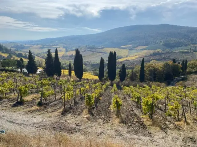 Ile kosztuje mieszkanie we Włoszech? Ceny, które mogą zaskoczyć