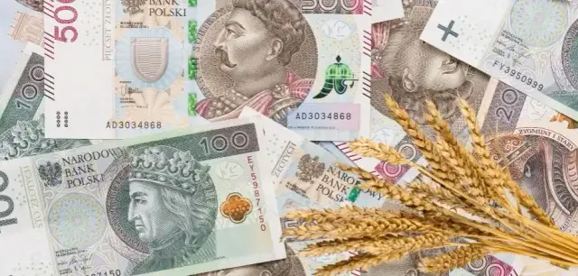 Ile kosztuje tona zboża w skupie? Sprawdź aktualne ceny i różnice