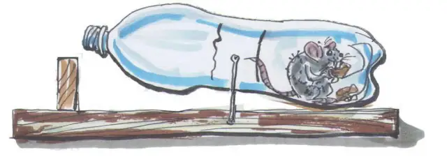 Pozbądź się myszy! Pułapka z butelki PET: Prosta, tania, humanitarna.