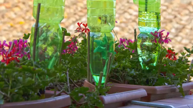 Zrób zraszacz z butelki: prosty patent na tanie podlewanie ogrodu