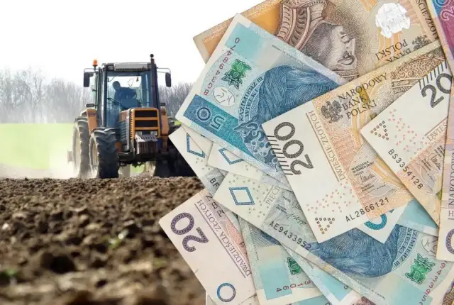 Hodowla ślimaków 2026: Zysk 60 tys. zł? Analiza kosztów i dotacji