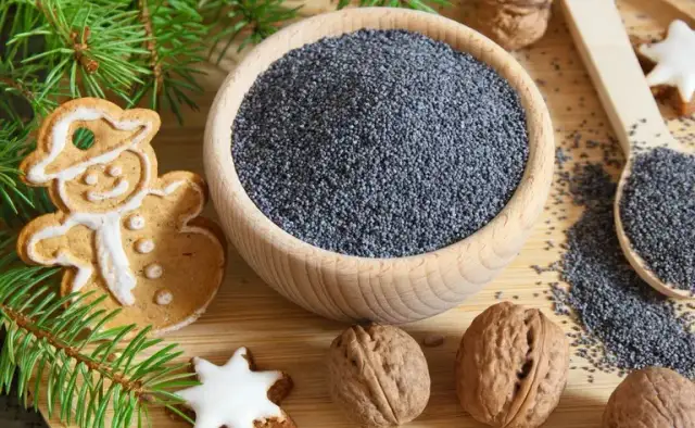 Czy mak jest zdrowy - poznaj zaskakujące właściwości tego superfood