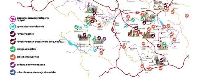 Wszystkie tajemnicze miejsca gdzie zimują nietoperze: fakty i ciekawostki