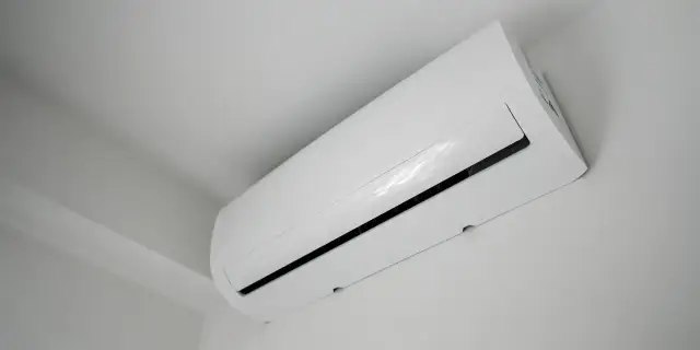 Kaisai to polska marka! Poznaj właściciela i jej sukces.