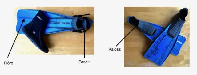 Jakie płetwy do nauki pływania pomogą Ci uniknąć frustracji?