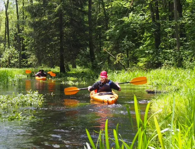 Kajakarstwo Astoria Bydgoszcz: Spływy Brdą, Cennik i Nabory!