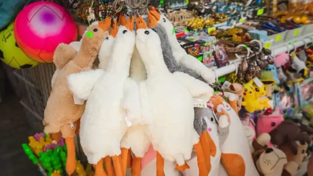 Skąd moda na pluszowe gęsi? Historia Pipy i TikToka