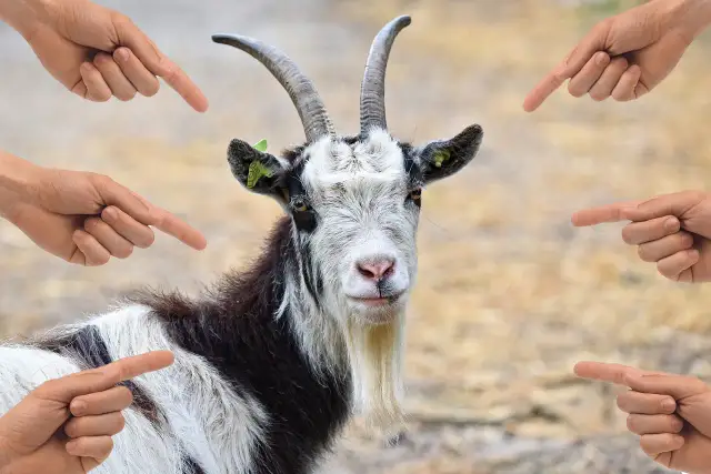 Kozioł ofiarny frazeologizm - znaczenie, pochodzenie i przykłady użycia