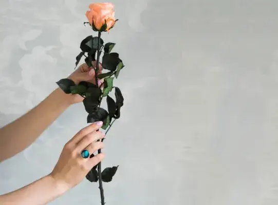 Mowa kwiatów: Jak wręczać róże, by wyrazić właściwe przesłanie?