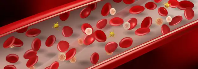 Podwyższony poziom czerwonych krwinek: objawy, przyczyny i ryzyko zdrowotne