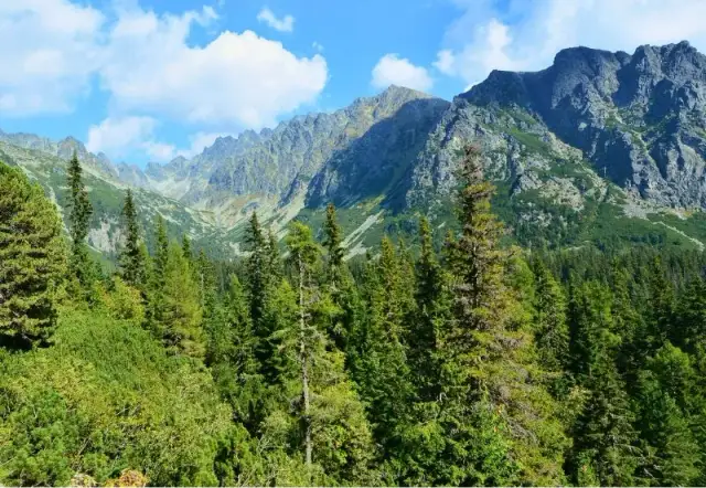Tatry z Krakowa: Jak i kiedy zobaczyć majestat gór?