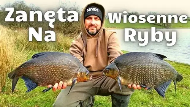 Jak zrobić zanętę na leszcza, aby skutecznie przyciągnąć ryby?