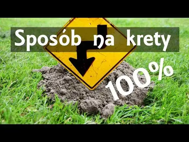 Skuteczne sposoby na pozbycie się kretów na działce bez bólu