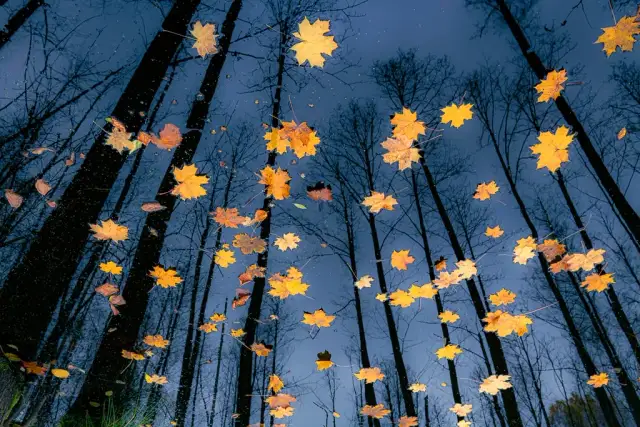 Co to jest fotograf i jakie umiejętności są niezbędne w tej pracy?