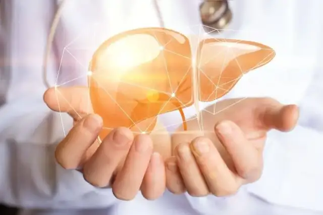 Jaką herbatę na wątrobę wybrać, aby wspierać zdrowie?