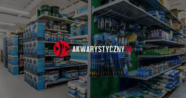 Najlepsze filtry do akwarium 120l – uniknij błędów w wyborze