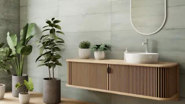 Jakie kwiaty do łazienki bez okna: rośliny, które przetrwają w ciemności