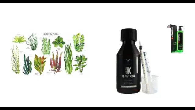 Jakie nawozy do akwarium wybrać, aby uniknąć problemów z roślinami?