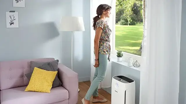 Jak oczyścić powietrze w mieszkaniu ze smogu i poprawić zdrowie