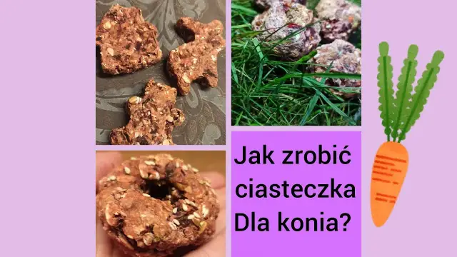 Jak zrobić ciastka dla koni - prosta receptura na zdrowe smakołyki