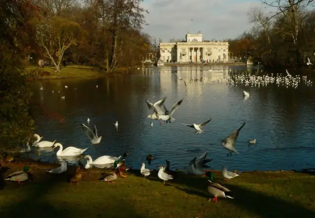 Pałac na wodzie w Łazienkach: Historia i tajemnice, które zaskakują