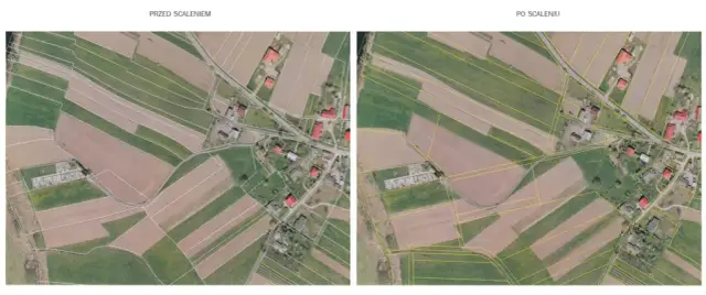 Co to jest scalenie gruntów i jak poprawia efektywność rolnictwa